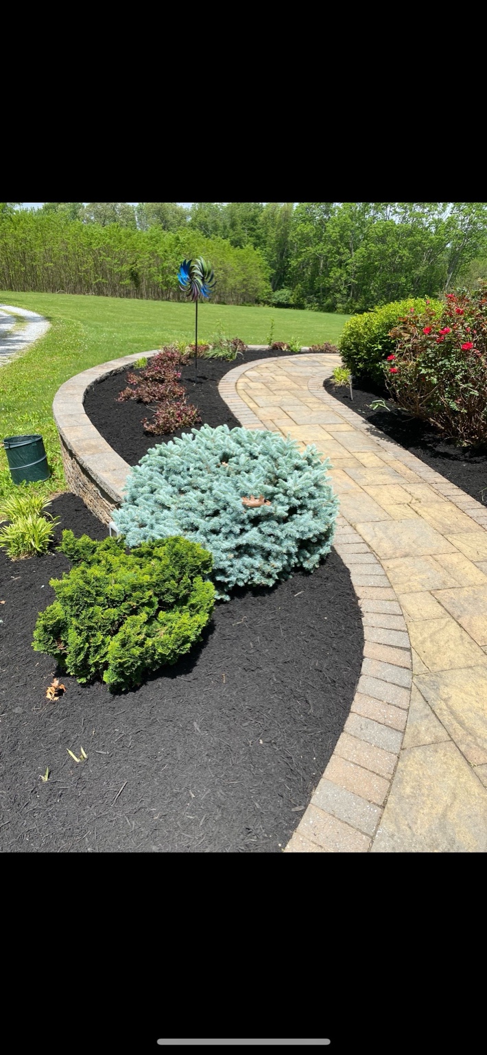 After Landscaping