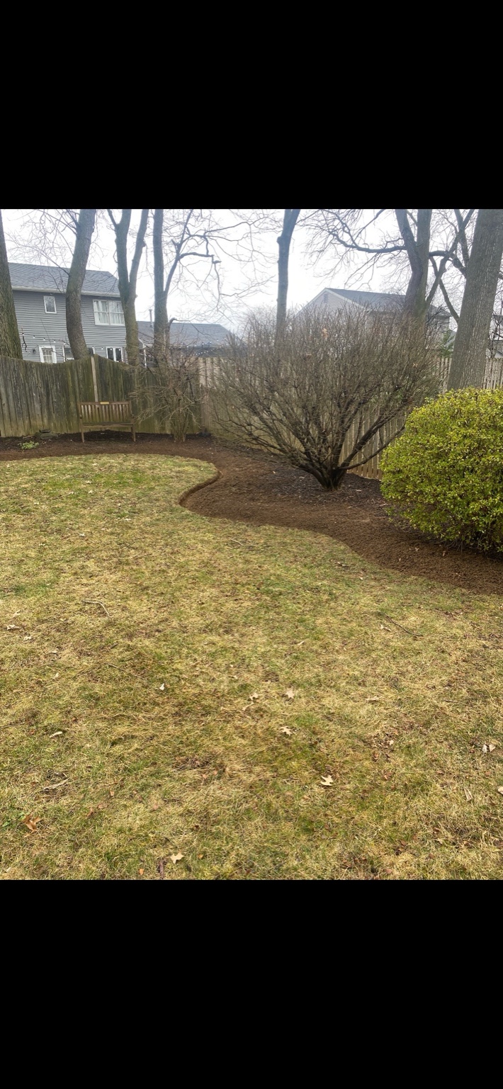 Before Landscaping